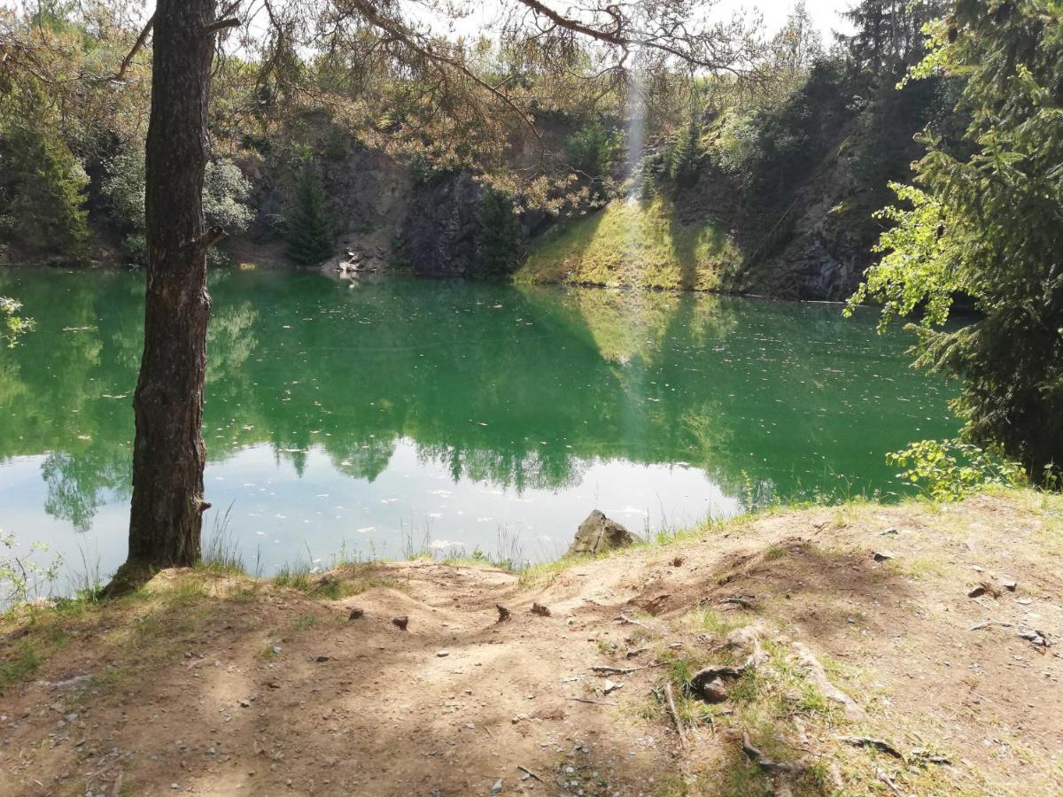 Ferienwohnung Bergwiese Schwarzenbach am Wald المظهر الخارجي الصورة
