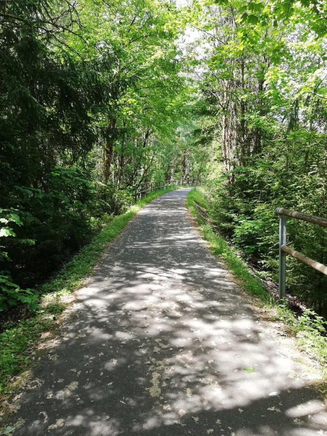 Ferienwohnung Bergwiese Schwarzenbach am Wald المظهر الخارجي الصورة