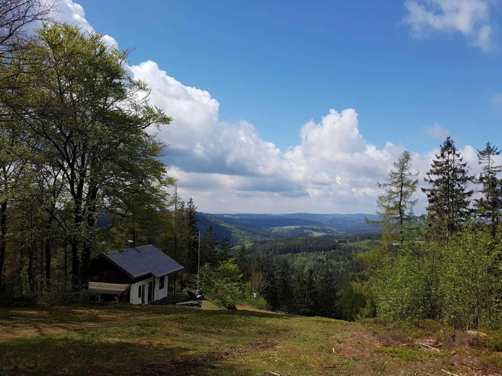 Ferienwohnung Bergwiese Schwarzenbach am Wald المظهر الخارجي الصورة