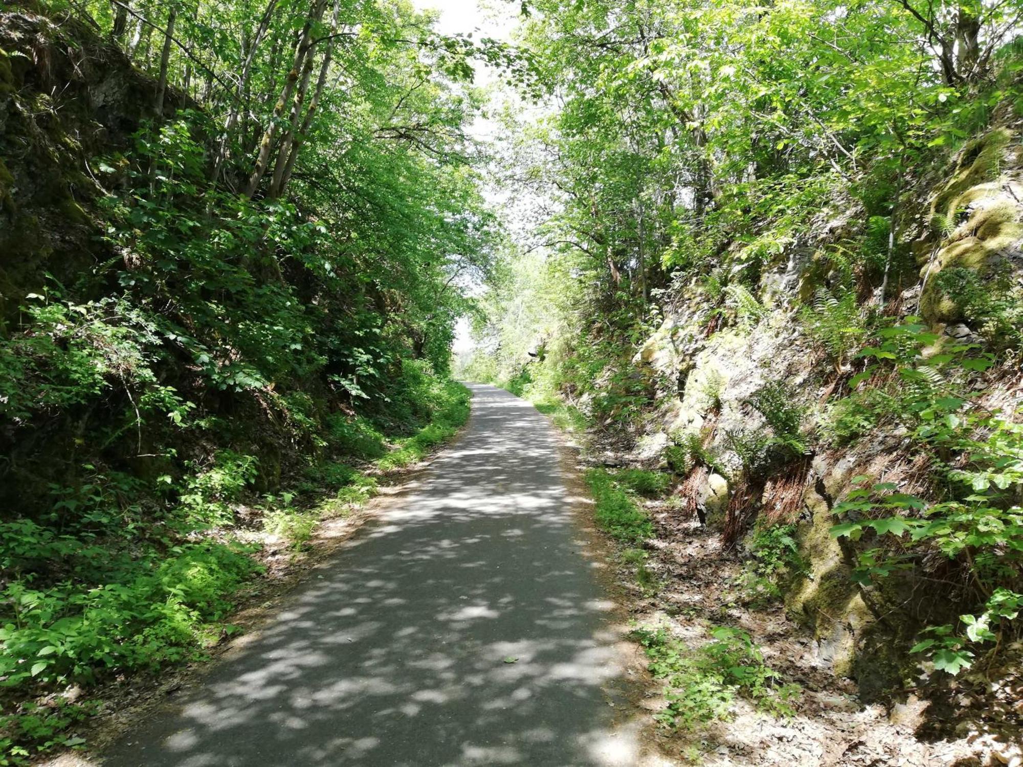 Ferienwohnung Bergwiese Schwarzenbach am Wald المظهر الخارجي الصورة